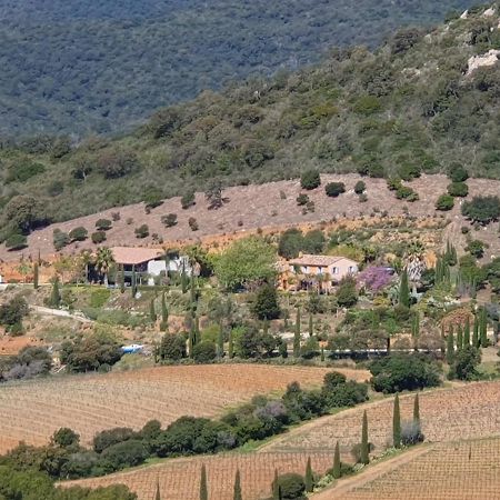 Bel Appart Style Vintage Vue Mer La Londe-les-Maures Buitenkant foto