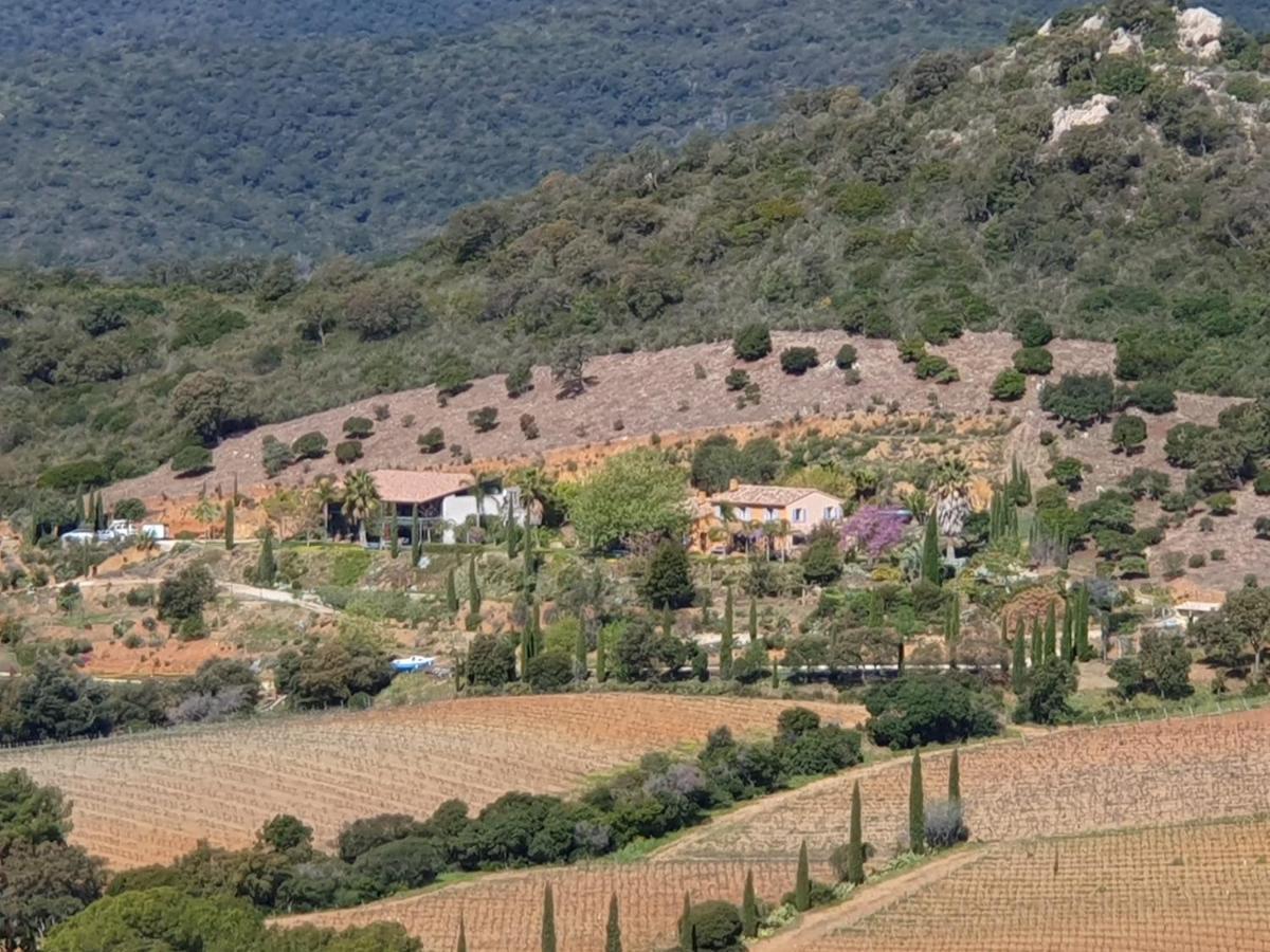 Bel Appart Style Vintage Vue Mer La Londe-les-Maures Buitenkant foto