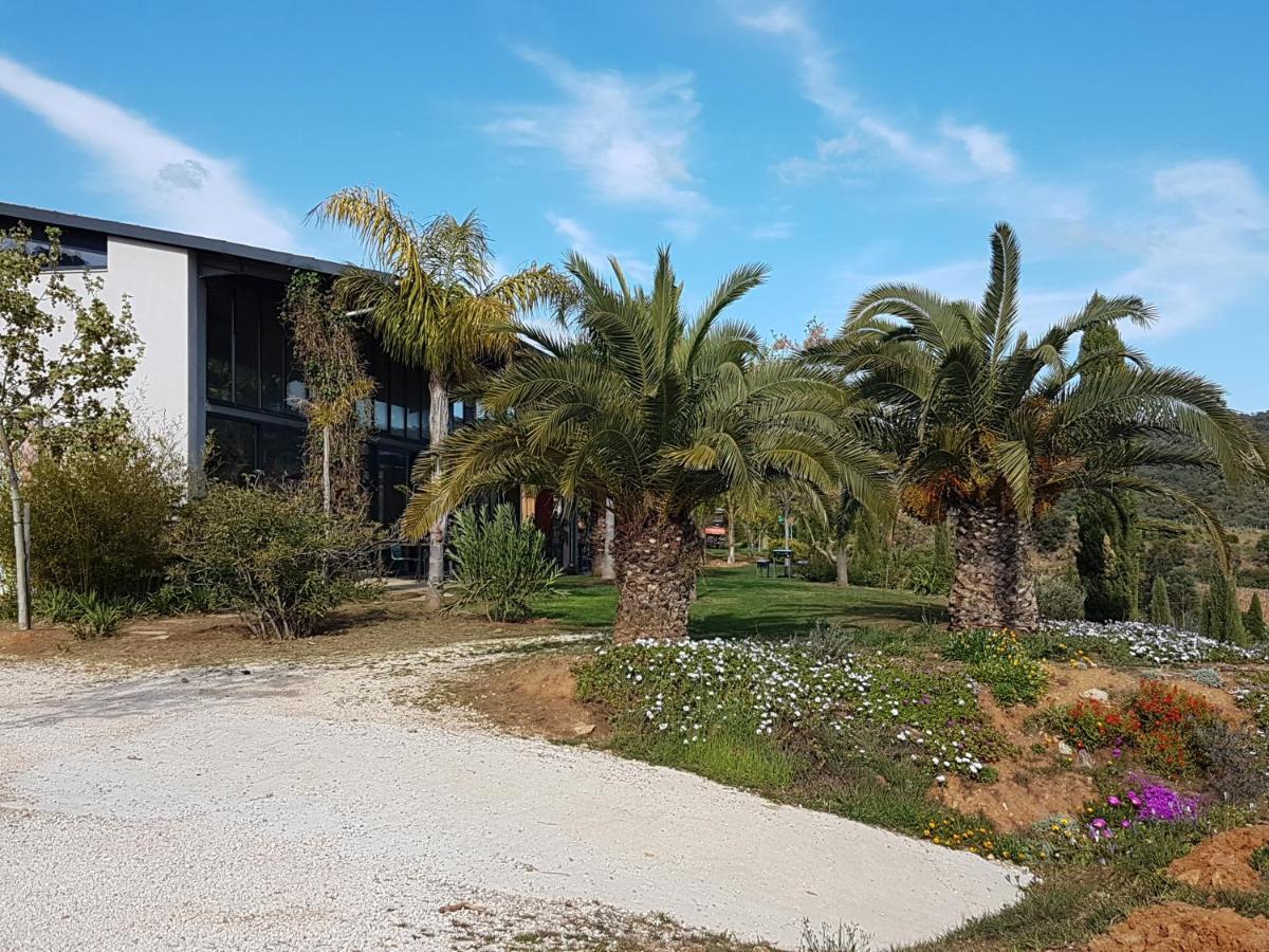 Bel Appart Style Vintage Vue Mer La Londe-les-Maures Buitenkant foto